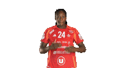 Celebration Handball Sticker by ESBF