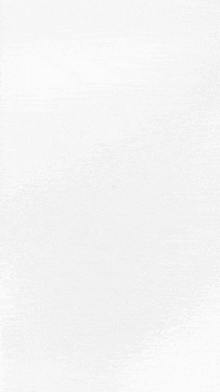 Art Loop GIF