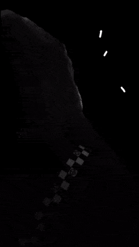 Dance Art GIF