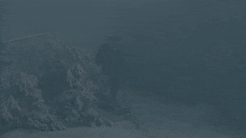 Yelling Snow Day GIF by 9-1-1: Lone Star