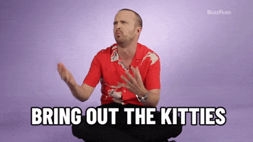 Aaron Paul GIF by BuzzFeed