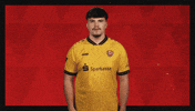 Dynamo Dresden Football GIF by Bundesliga
