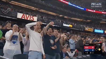 Yankees GIF by Jomboy Media