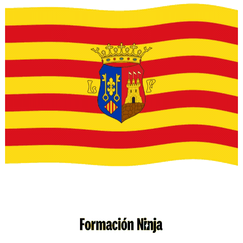 Comunidad Valenciana Bandera GIF by Formación Ninja