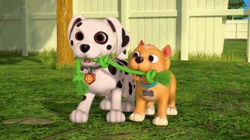 Animation Dog GIF by Moonbug