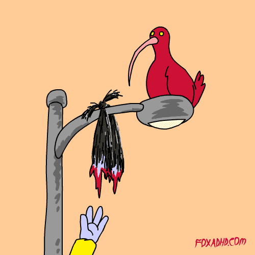 fox adhd GIF by Animation Domination High-Def