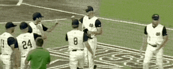 World Series Baseball GIF by NCAA Championships