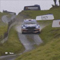 Rallying Fast Car GIF by FIA European Rally Championship