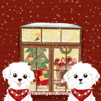 Merry Christmas Dog GIF by HammyandBrody