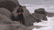 Beach Abc GIF by Bachelor in Paradise