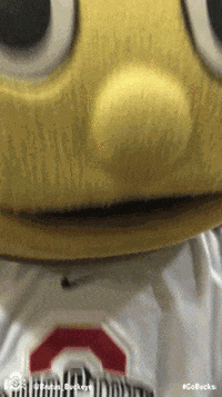 Ohio State Sport GIF by Ohio State Athletics