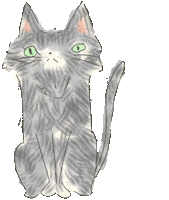 Cat Sticker