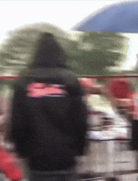 Max Verstappen GIF