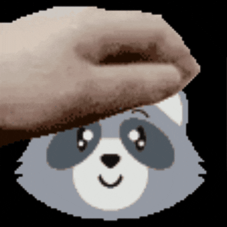 Pet Raccoon GIF