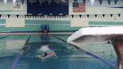 Wethebeach Virginiawesleyan GIF by VWU Marlins