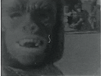 scottok halloween home movies GIF