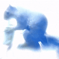 Squirrel GIF by Respective