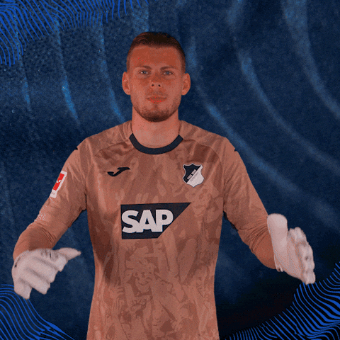 Sport Bundesliga GIF by TSG Hoffenheim