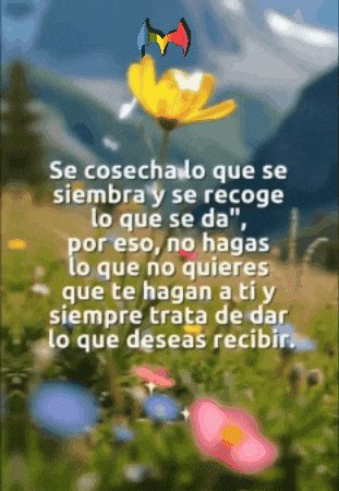 Amigos Flores GIF by Murcianys LLC