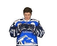 Hockey Boom Sticker by SCRIESSERSEE