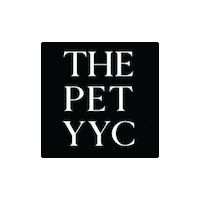 Petyyc Sticker by petropolitan