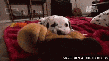 biting too cute GIF