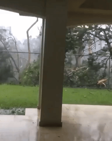 Hurricane Maria Damages Buildings and Downs Trees in Puerto Rico