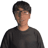 Skyler Sticker