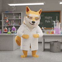 Shiba Inu Dog GIF by Doge Pound