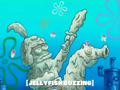 season 5 GIF by SpongeBob SquarePants