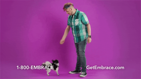 Dance Doghealth GIF by Embrace Pet Insurance