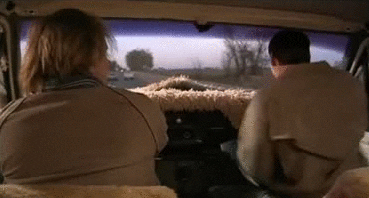 dumb and dumber weed GIF