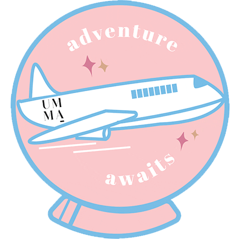 ummamy giphyupload pink travel blue Sticker