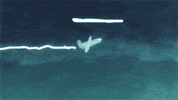 2d animation turbulance GIF by Caleb Wood