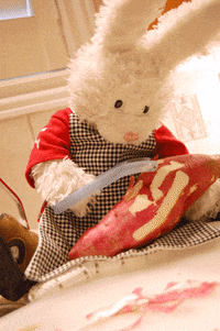 bunny cooking GIF by Zackary Rabbit