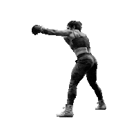 Stefi Sticker by HYBRID Performance Method