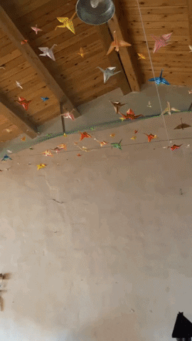 delaneyoconnell giphygifmaker art gallery GIF