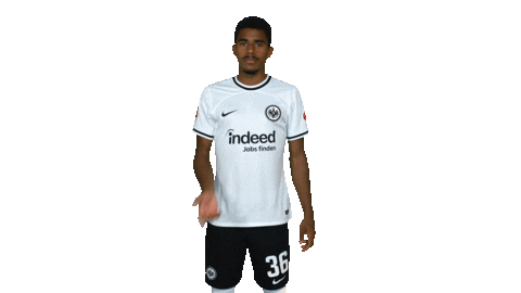 Sge Think Sticker by Eintracht Frankfurt