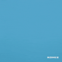 kohls money easter cash easter bunny GIF