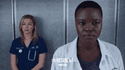 the resident fox GIF