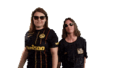 Sunglasses Claudia Sticker by Radio Gelb-Schwarz