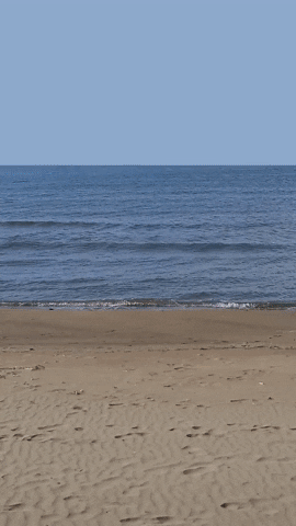 Simongip giphyupload GIF