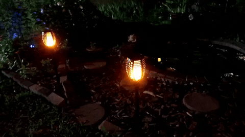 Elitehomeimage giphygifmaker GIF