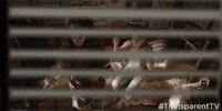 season 3 GIF by Transparent