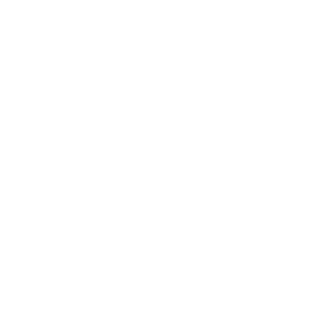 Star Sticker by Jelly Creative Co.