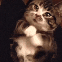 nudes ive GIF