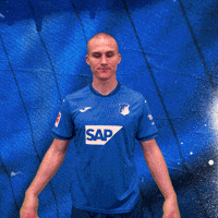 Sport Bundesliga GIF by TSG Hoffenheim