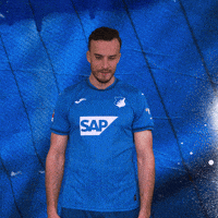 Sport Bundesliga GIF by TSG Hoffenheim