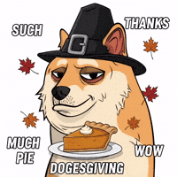 Thanksgiving Turkey GIF by Doge Pound