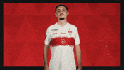 Vfb Stuttgart Football GIF by Bundesliga